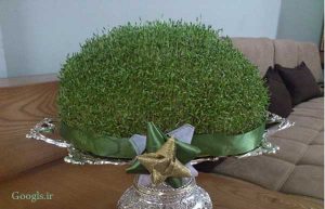 سبزه شاهی برای عید